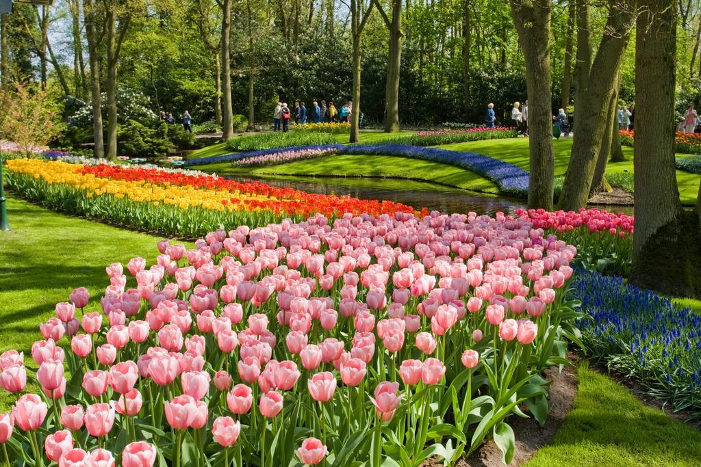 Отель Golden Tulip Leiden Centre Экстерьер фото