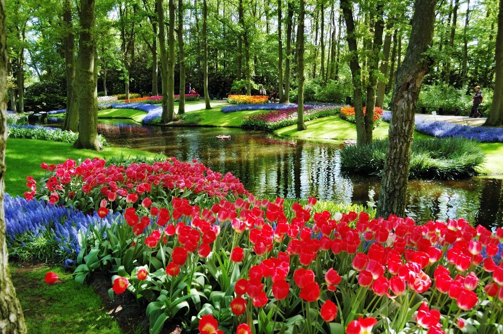 Отель Golden Tulip Leiden Centre Экстерьер фото